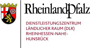 Logo DLR-RNH